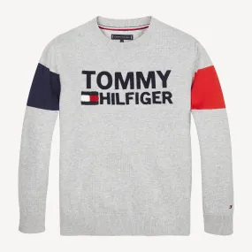 Tommy Hilfiger Boys Logo Jumper made of Organic Cotton