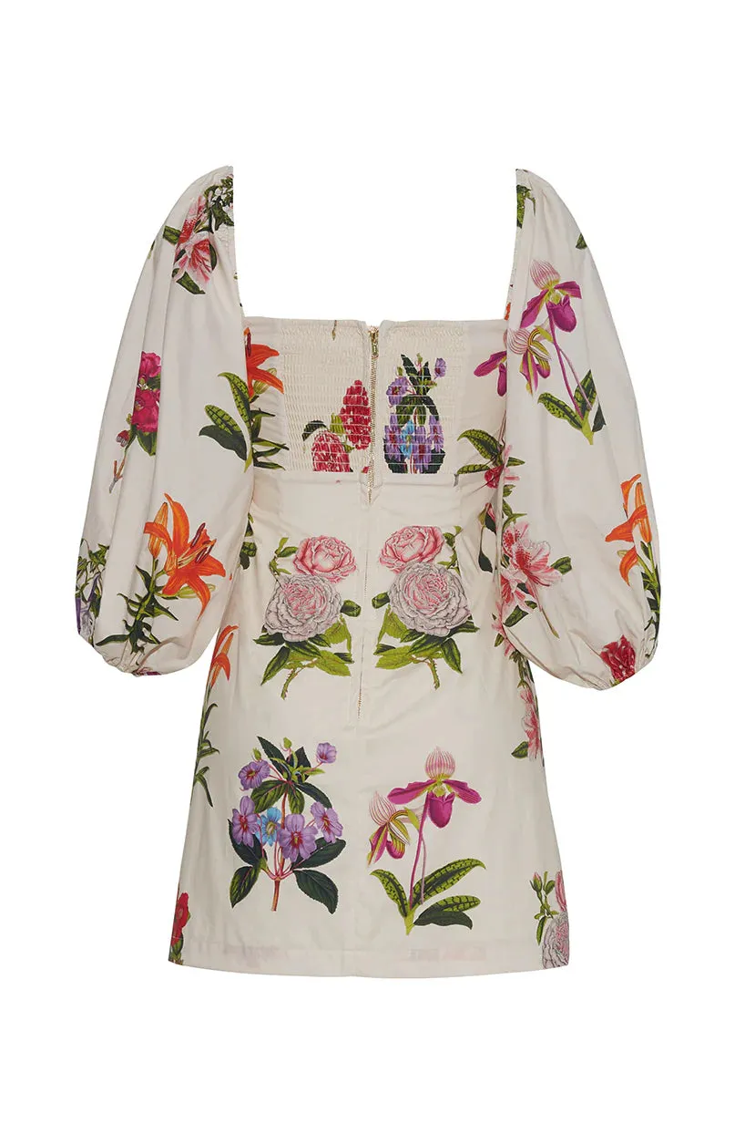 Flora Montauk Dress - Shop Now