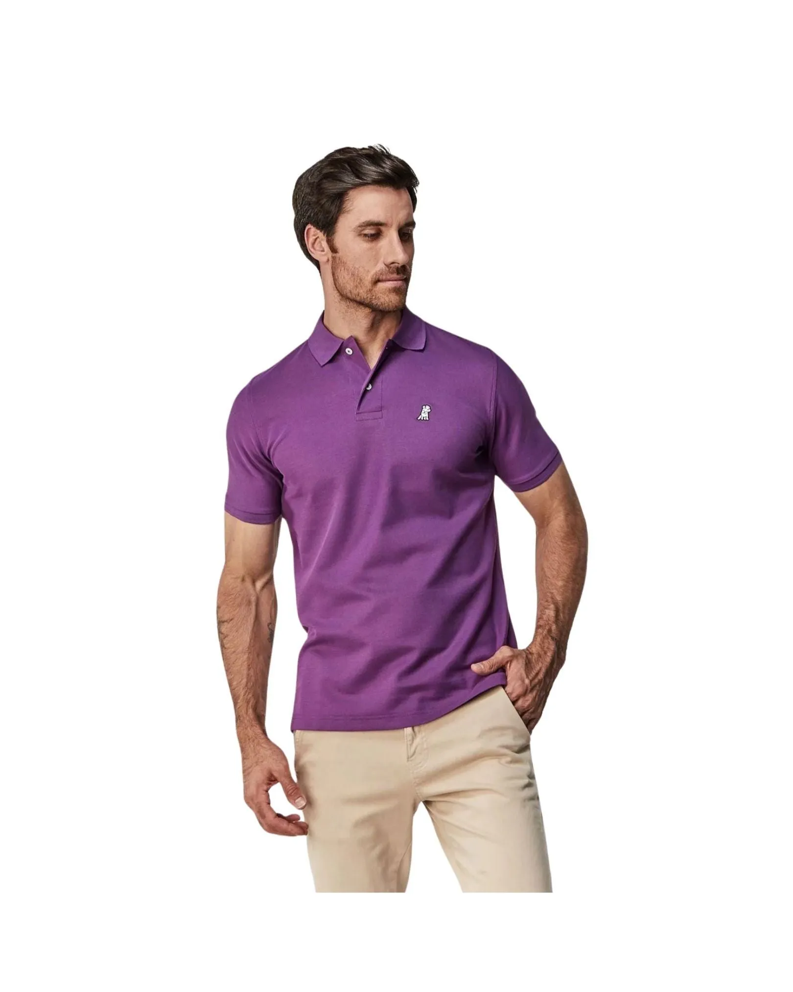 Men's Regular Fit Polo Shirt - Plum A11