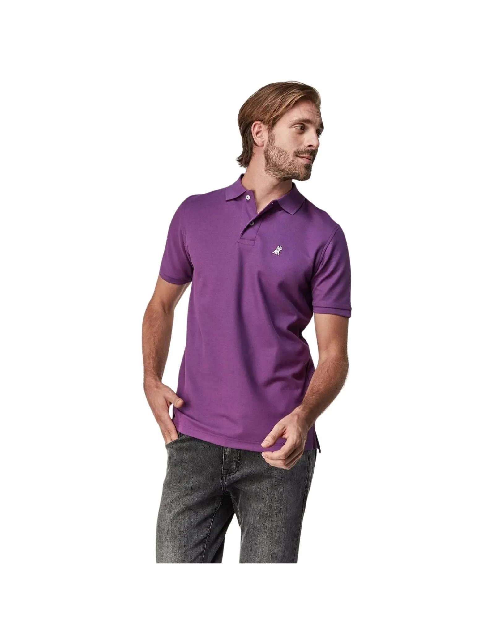 Men's Regular Fit Polo Shirt - Plum A211