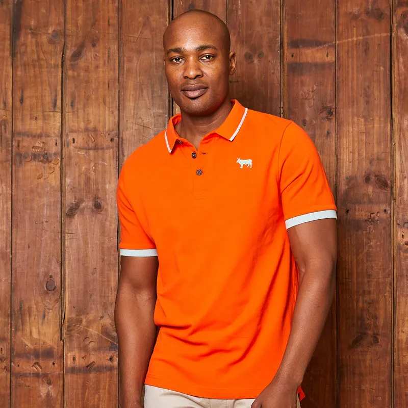 Modern Maverick Pop Polo Naartjie