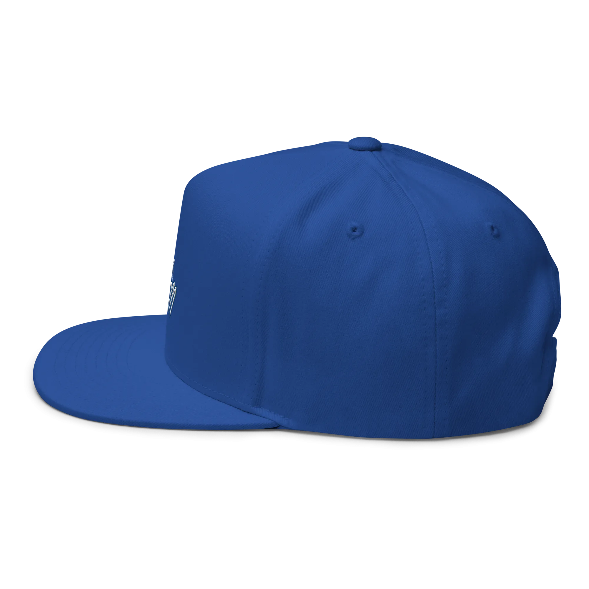 TCGM Flat Bill Cap