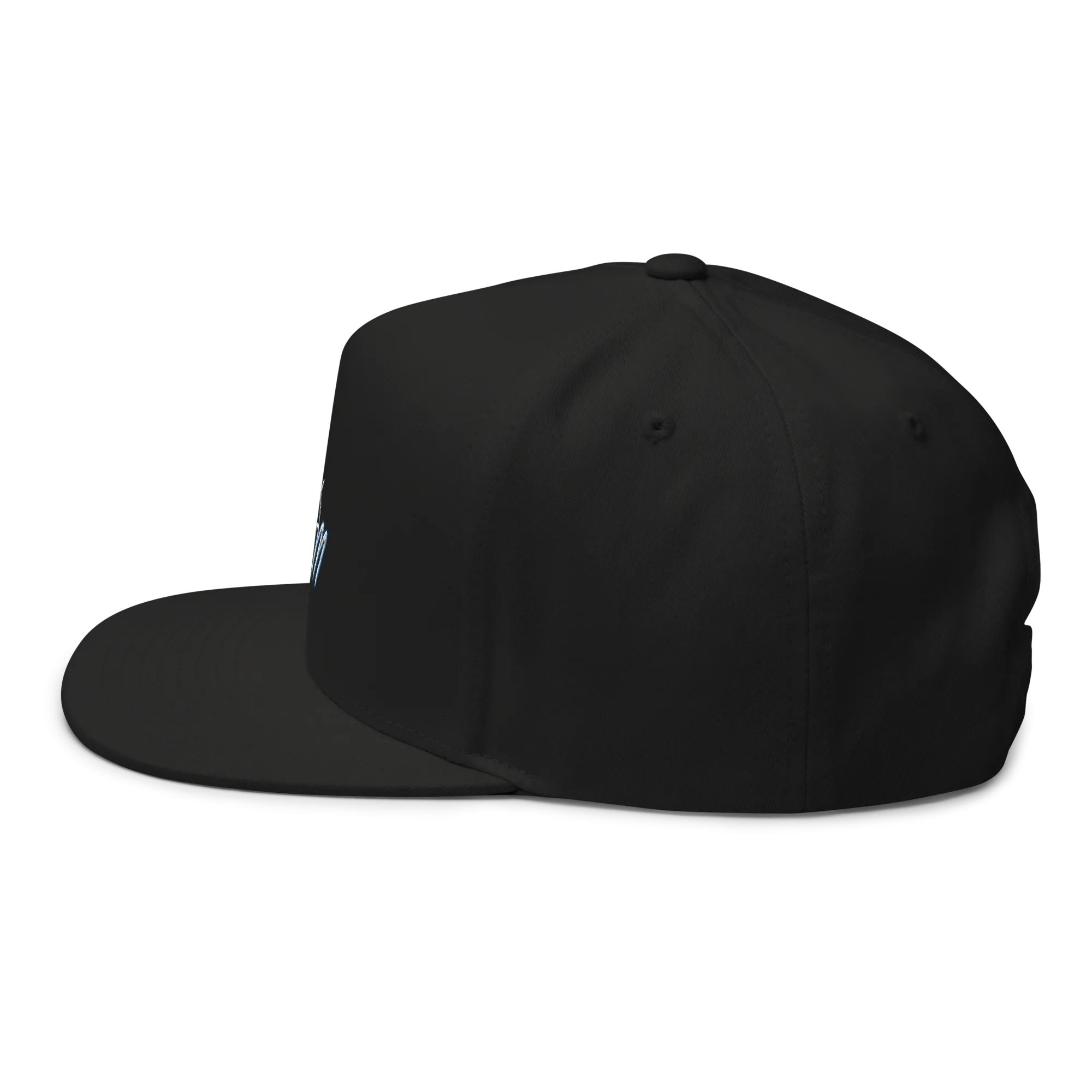 TCGM Flat Bill Cap