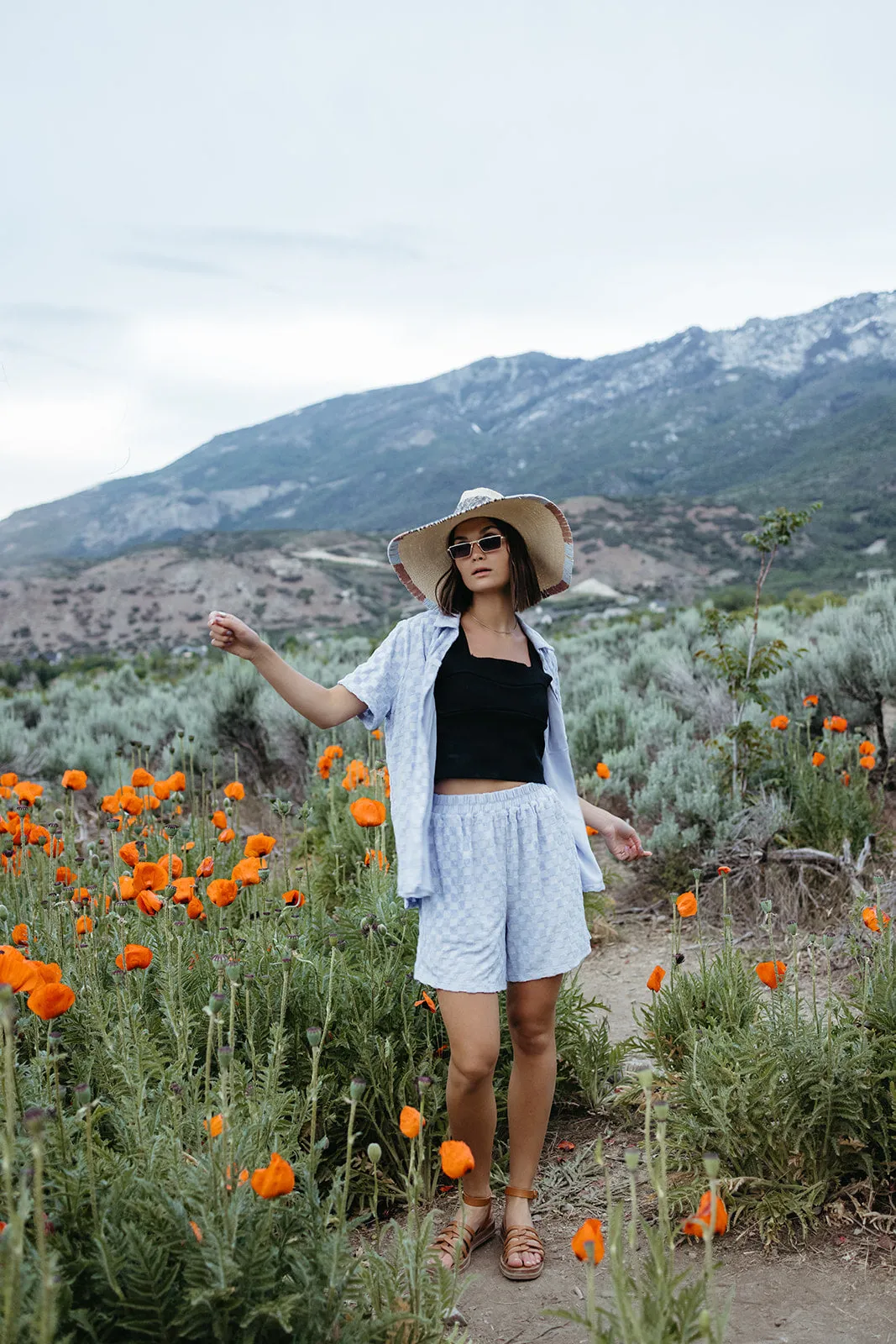 Chipley Blue Check Textured Knit Shorts