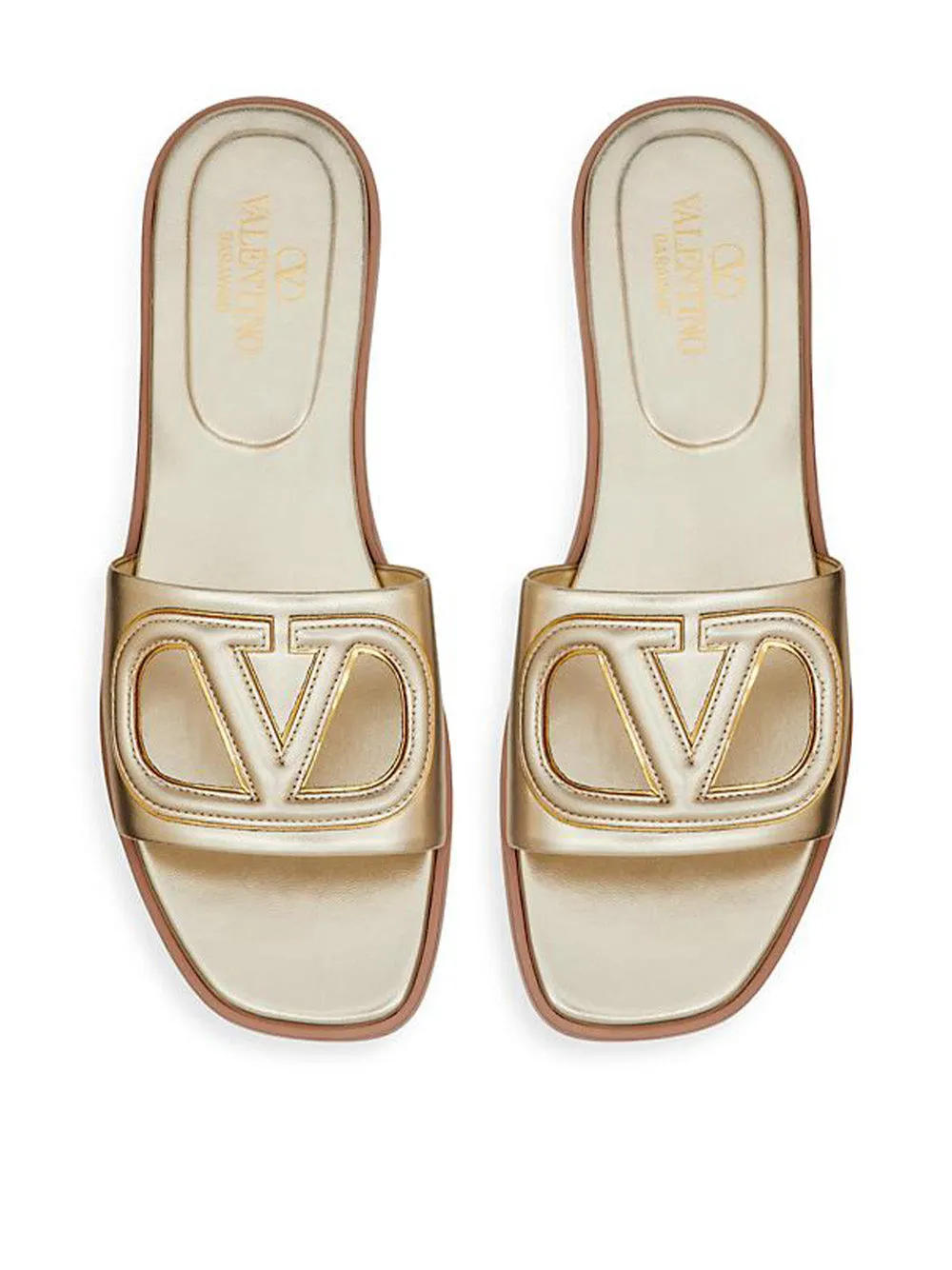 VLogo Cut-Out Slides